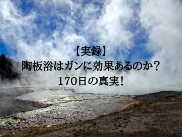 実録 陶板浴はガンに効果あるのか 170日の真実 人生雑学論