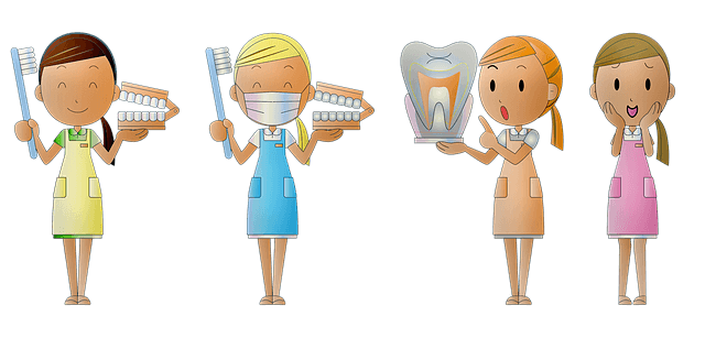 歯科衛生士４にん　歯の説明